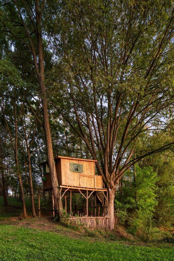 Vila Ca La Masovera - Mas Vinyoles Natura San Pedro de Torelló Exteriér fotografie